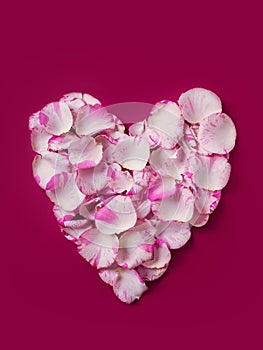 Holiday heart-shaped wreath made from light rose petals on red background, Valentine`s card