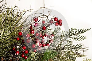 Holiday Holly and Greenery Background