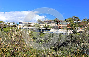 Holiday homes on hill in bush setting