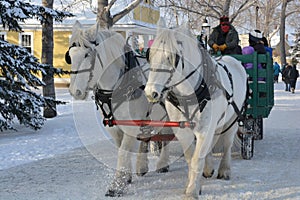 Holiday Horse-Drawn Wagon Ride