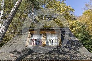 Holiday house in forest