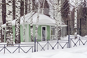 A holiday house in a winter birch park