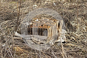 After the holiday, lawn full of empty cardboard firework package and shell. Remains of fireworks pyrotechnics, burnt chemistry