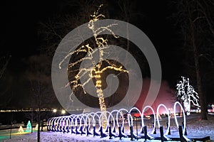 Holiday Lightings