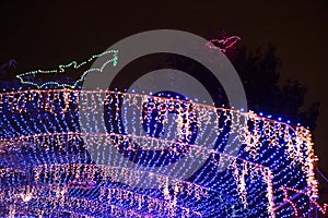 Holiday lights and flying bats