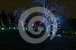Holiday Lights and Ornaments Illuminate Park