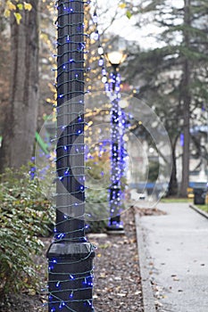 Holiday lights on sidewalk lamp poles