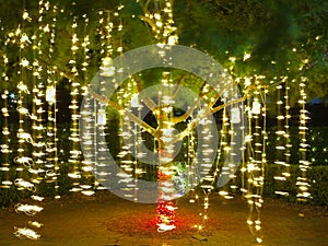 Holiday lights in tree summer night glitter in motion blur