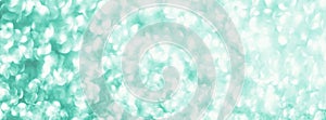 Holiday Neo mint green abstract bokeh background