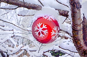 Holiday Ornament in Snow on Tree Branch