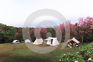 holiday outdoor camping : tourist tent camping in mountains, family vacation picnic on holiday relax, overview of camping of