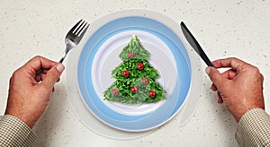 Holiday salad on a plate