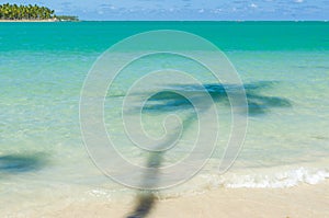 Holiday shadow, beautiful image of Carneiros beach in Pernanbuco