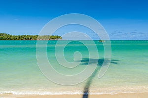 Holiday shadow, beautiful image of Carneiros beach in Pernanbuco