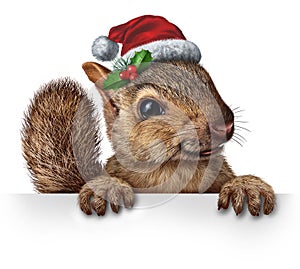 Holiday Squirrel