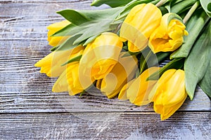 Holiday Tulip Flowers on Wooden Background