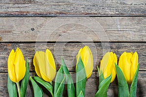 Holiday Tulip Flowers on Wooden Background