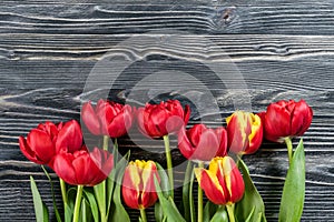 Holiday Tulip Flowers on Wooden Background