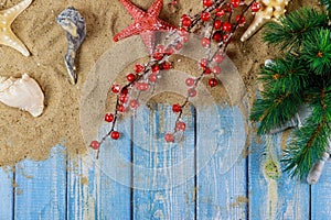 Holiday vacation with starfishand sea shells on a branch of christmas tree with blue wooden background