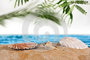 Holiday vacation tropical sand beach on the sea shore ocean exotic destination with palm trees shells and textspace copyspace