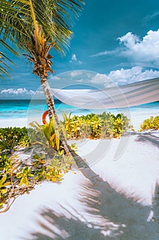 Holiday vacation tropical scene of beautiful white sand beach, turquoise ocean lagoon and foliage. Vacation in paradise