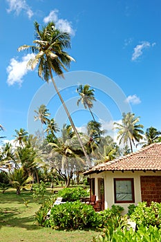 Holiday villa at the popular hotel and palms