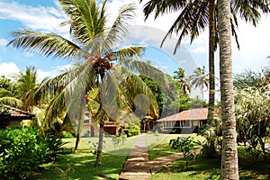 Holiday villa at the popular hotel and palms