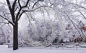 Holiday winter snow scene.