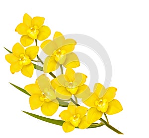 Holiday yellow flowers background.