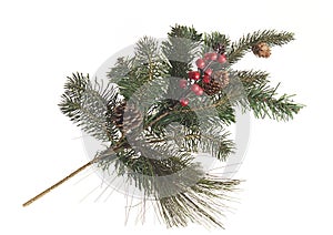 Holidaydecorative fir branch with berries and cone