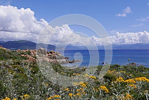 holidays on the island of beauty, in southern Corsica