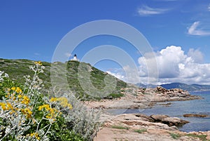 Holidays on the island of beauty, in southern Corsica