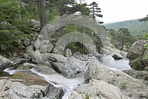 Holidays on the island of beauty, in southern Corsica