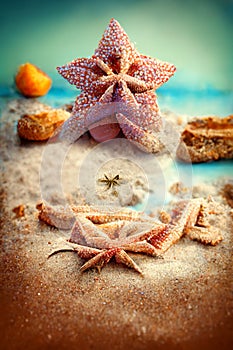 Holidays. sand beach, sunglasses and starfish in front of summer sea background with copy space.