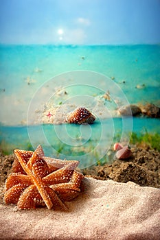 Holidays. sand beach, sunglasses and starfish in front of summer sea background with copy space.