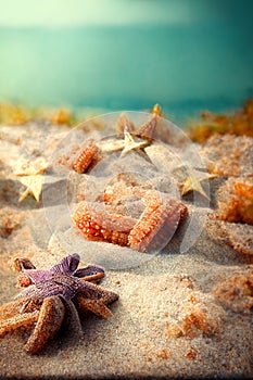 Holidays. sand beach, sunglasses and starfish in front of summer sea background with copy space.