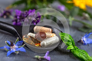 Holistic medicine approach. Healthy food eating, dietary supplements, healing herbs and flowers. lavender, spirulina