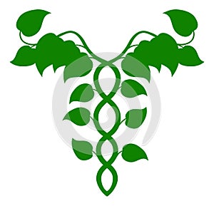 Holistic Medicine Caduceus or DNA concept