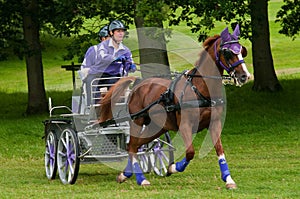 Holker Hall National Carriage Driving Trials 2010