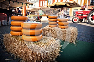 Holland cheese rounds displayed on hay stack at traditional market