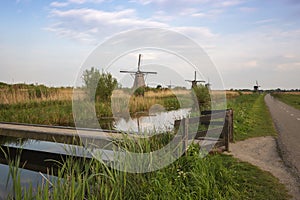 Holland - Kinderdijk, open-air museum of windmills. Watermills standing on the edge of a water canal. In the foreground a green