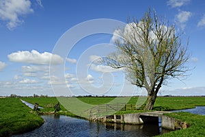 Holland landscape