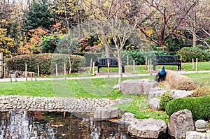 Holland Park, one of public London parks