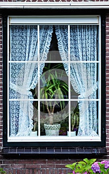 Holland Window