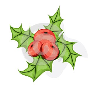 Holli berry - Christmas symbol. Flat vector illustration. Ref berries and green leaves isolated on white background