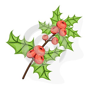 Holli berry - Christmas symbol. Flat vector illustration. Ref berries and green leaves isolated on white background