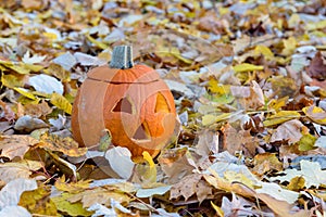 Hollow halloween pumpkin amongst the autumn leaves