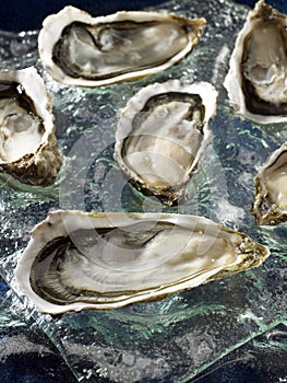 Hollow oysters from Brittany