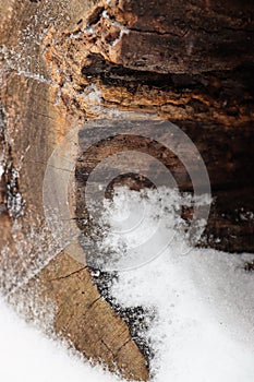 Hollow tree trunk in snow