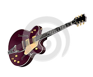 Hollowbody Electric Guitar 2